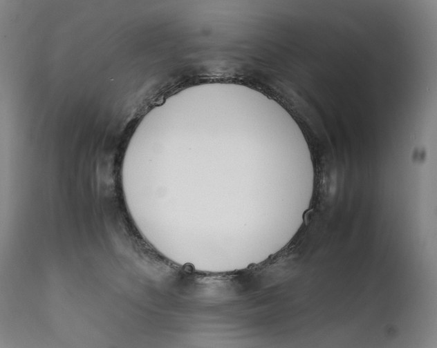 X0000111660516200908071436