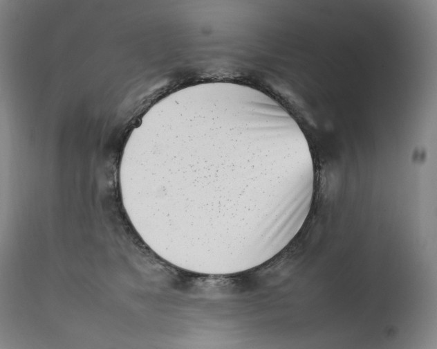 X0000111660517200908071436