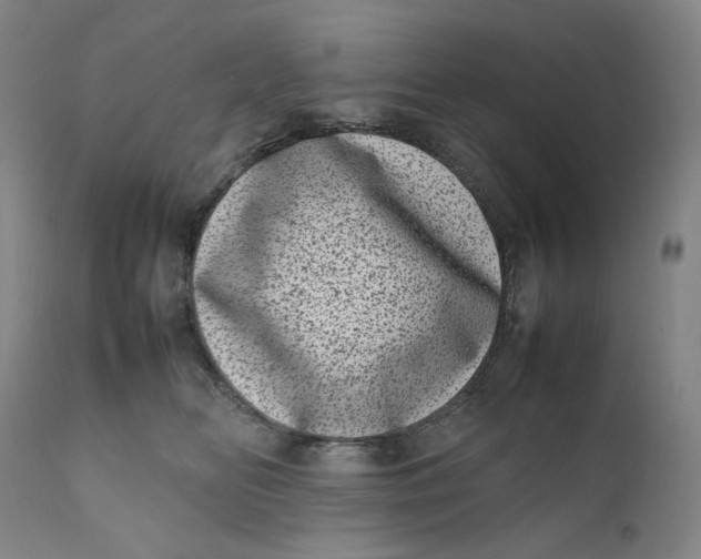 X0000111660518200908071436