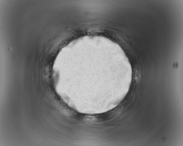 X0000111660519200908071436