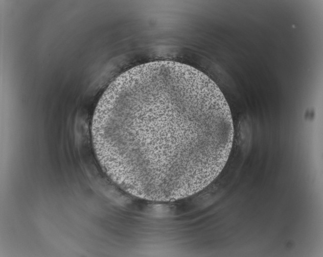 X0000111660522200908071436