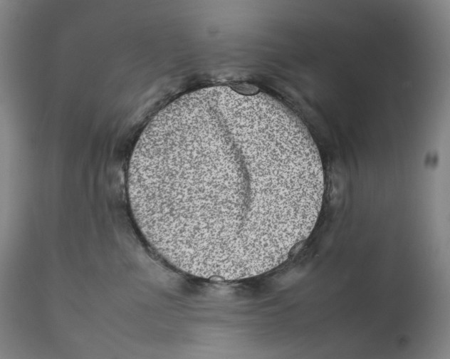 X0000111660523200908071436