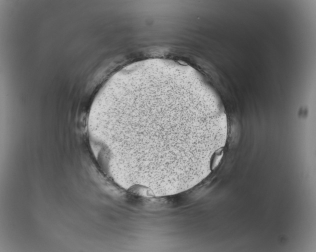 X0000111660525200908071436