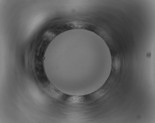 X0000111660526200908071436