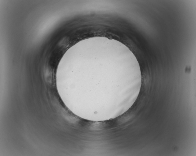 X0000111660527200908071436