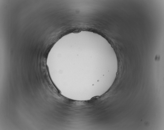 X0000111660528200908071436