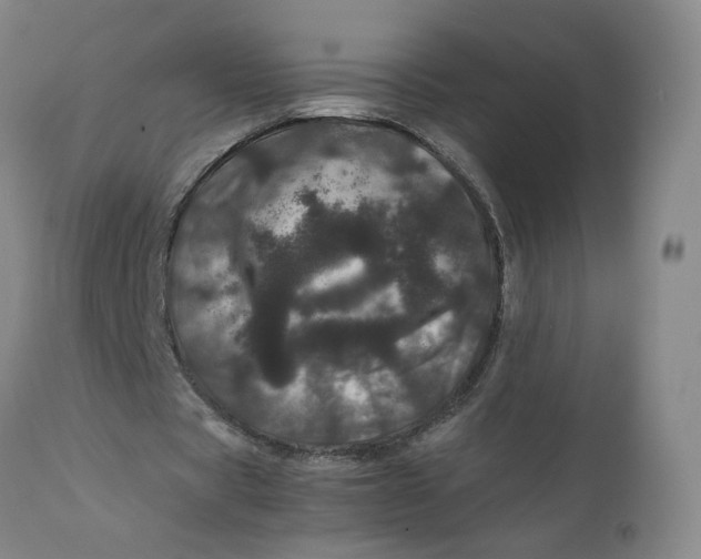 X0000111660529200908071435