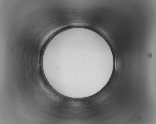 X0000111660531200908071435