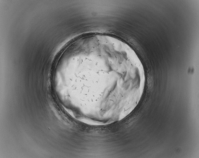 X0000111660532200908071435