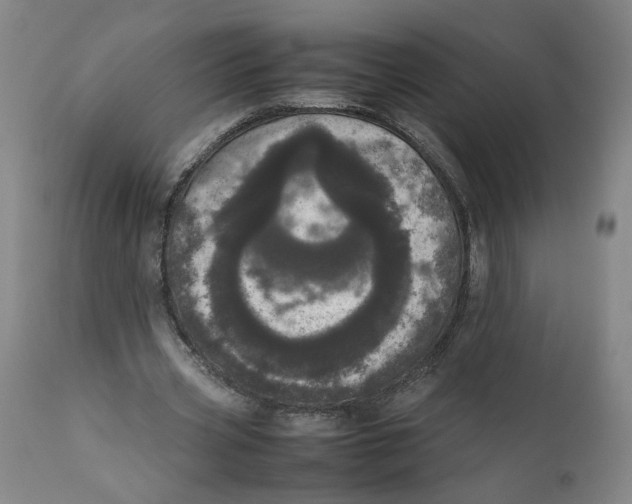 X0000111660533200908071435