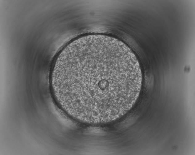 X0000111660534200908071436