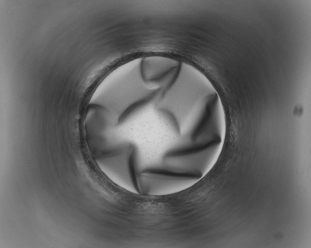 X0000111660535200908071436