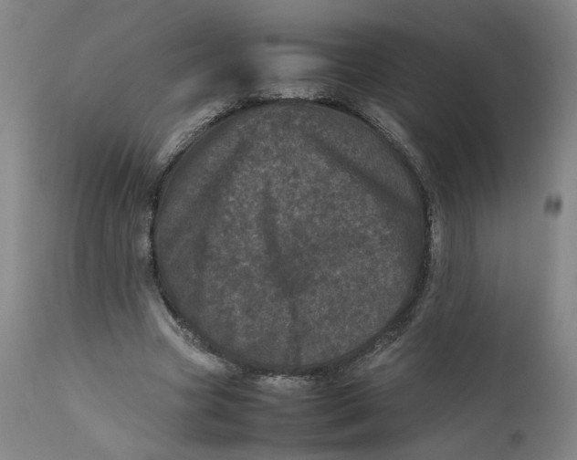 X0000111660537200908071436