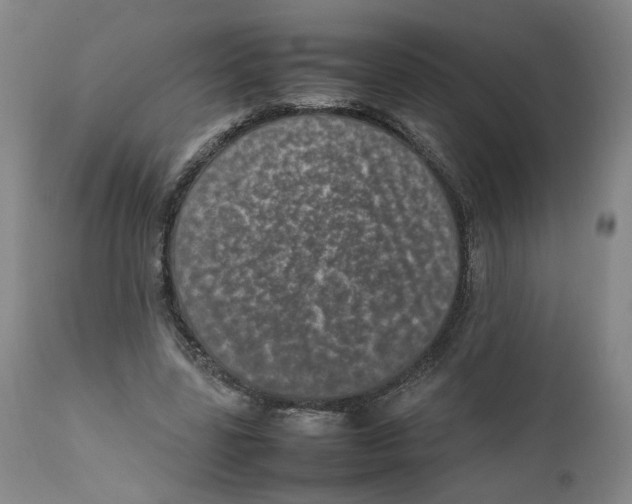 X0000111660539200908071436