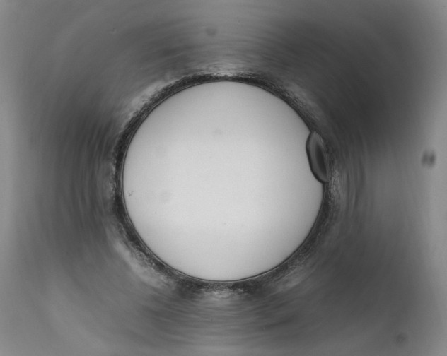 X0000111660540200908071436