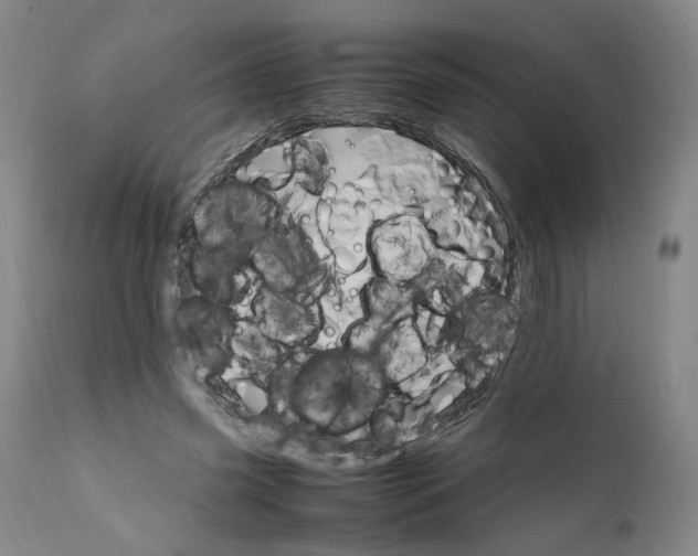 X0000111660541200908071436