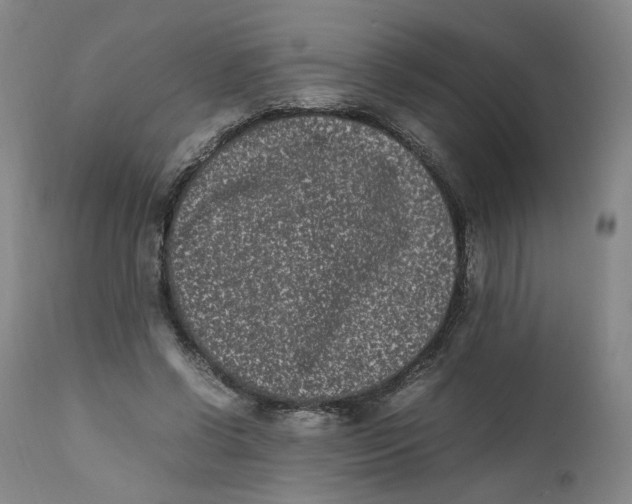 X0000111660542200908071436