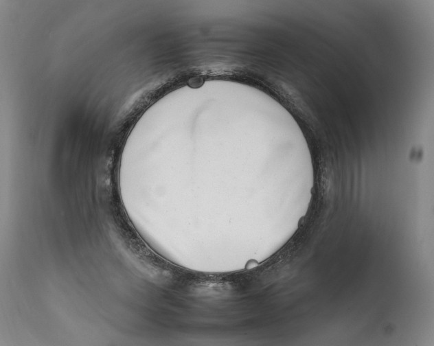 X0000111660543200908071436