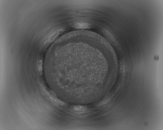 X0000111660549200908071436