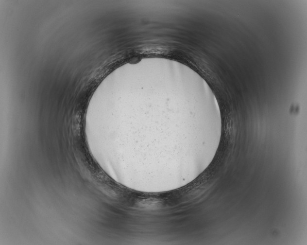 X0000111660551200908071436