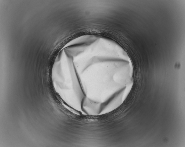 X0000111660552200908071436