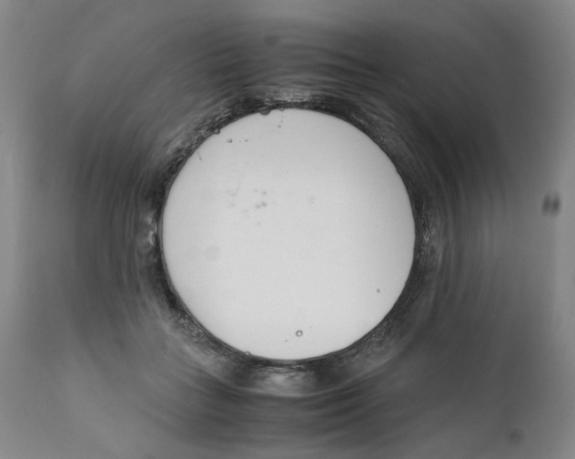 X0000111660555200908071436