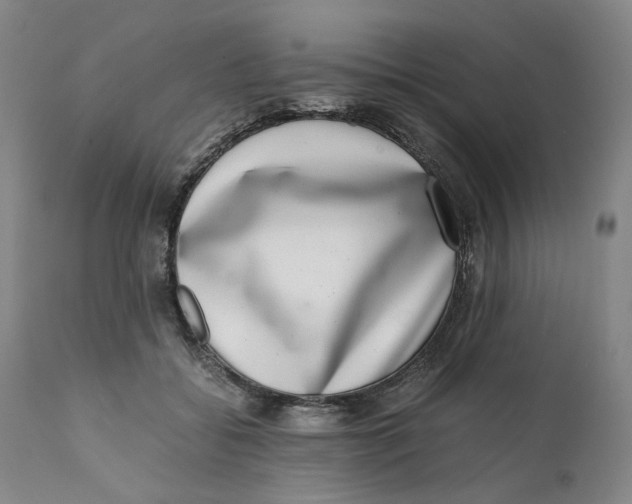 X0000111660556200908071436