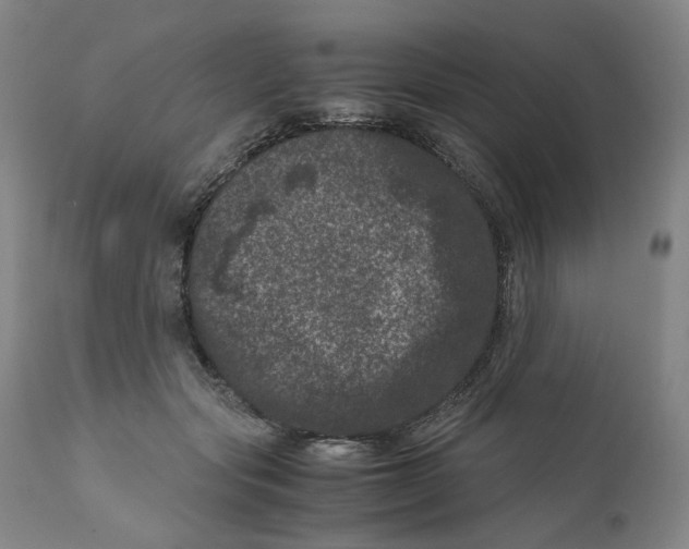 X0000111660557200908071436