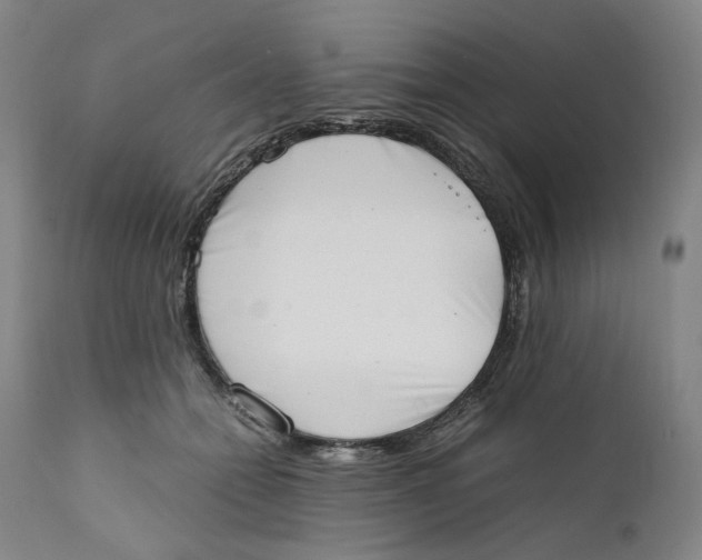 X0000111660558200908071436