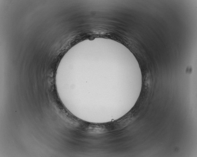 X0000111660559200908071436