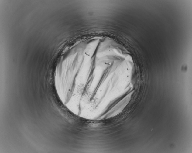 X0000111660560200908071436