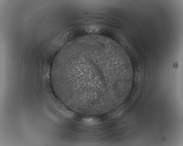 X0000111660561200908071436