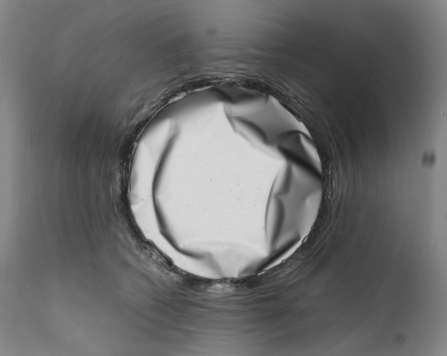 X0000111660562200908071436