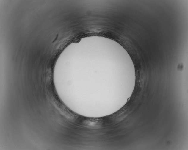 X0000111660563200908071436