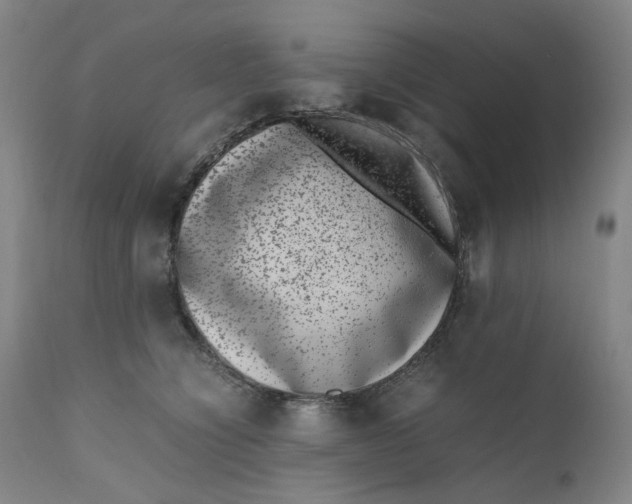 X0000111660564200908071436