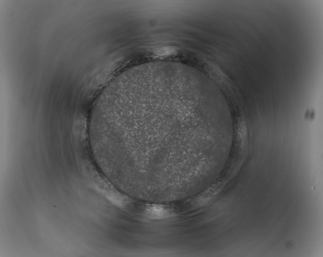 X0000111660565200908071436