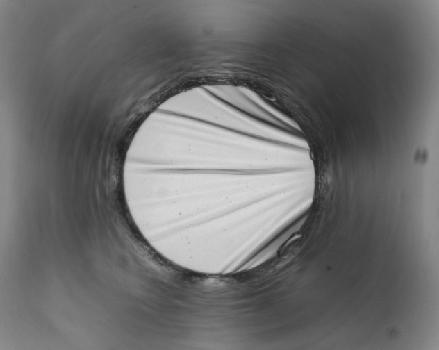 X0000111660566200908071436