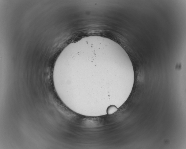 X0000111660567200908071436