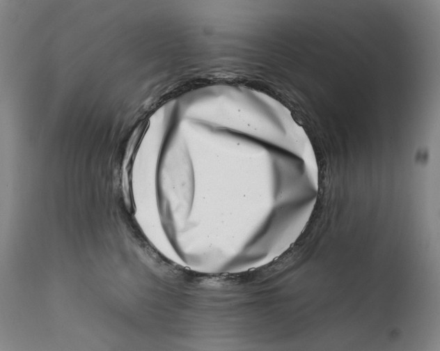 X0000111660568200908071436