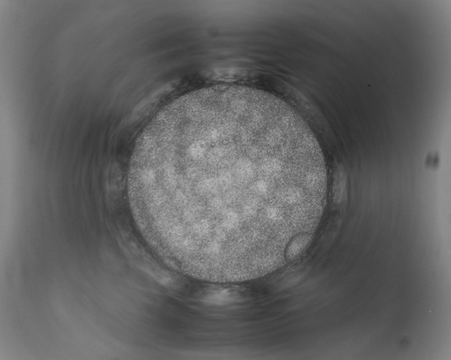 X0000111660569200908071436