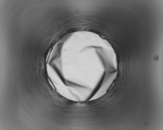 X0000111660570200908071436