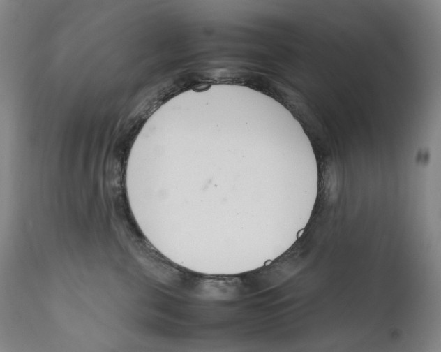 X0000111660571200908071436