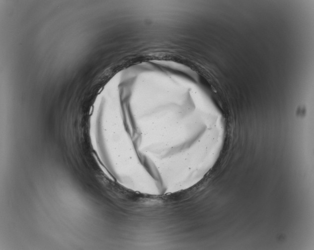 X0000111660572200908071436