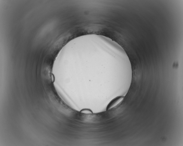 X0000111660575200908071436