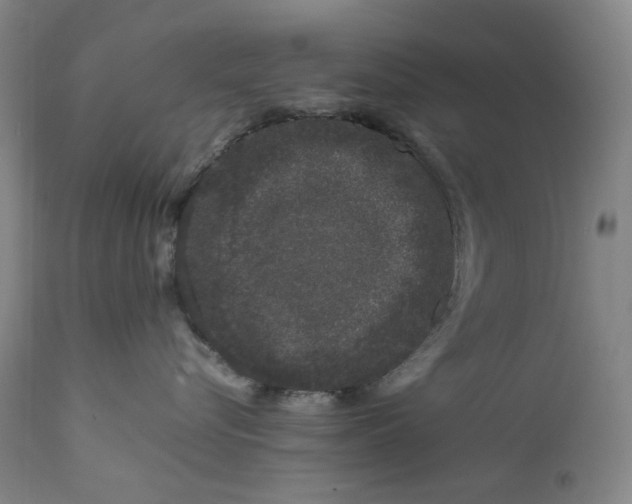 X0000111660576200908071436