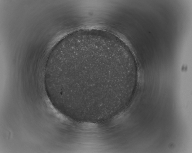 X0000111660577200908071435