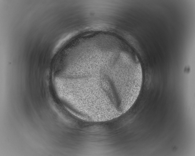 X0000111660578200908071435