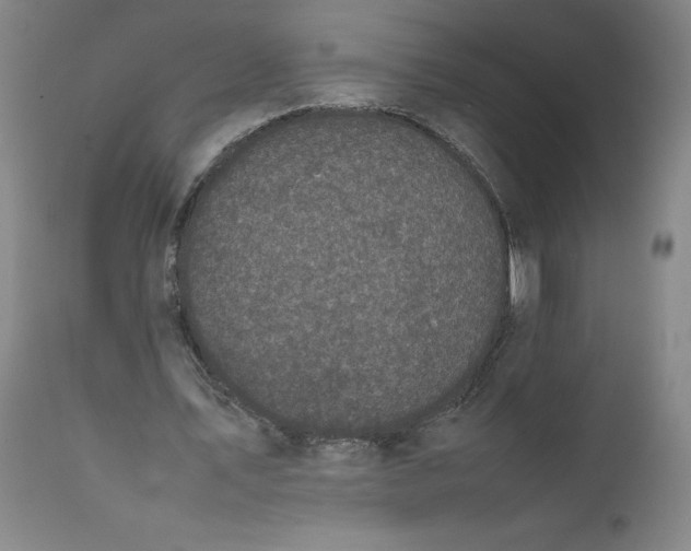 X0000111660579200908071435