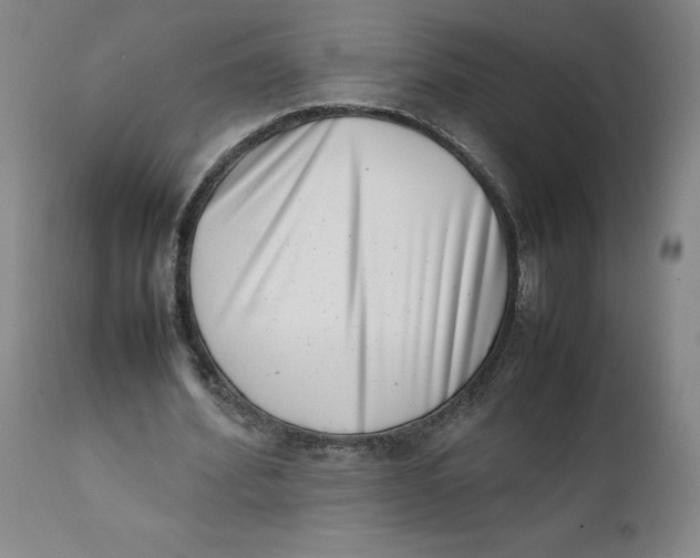 X0000111660580200908071435