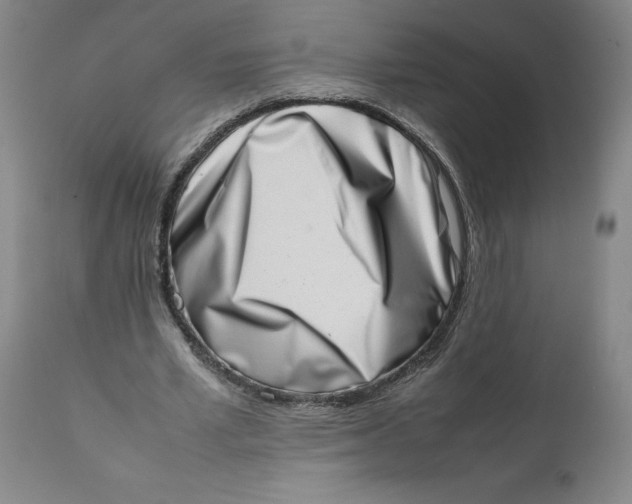 X0000111660581200908071435